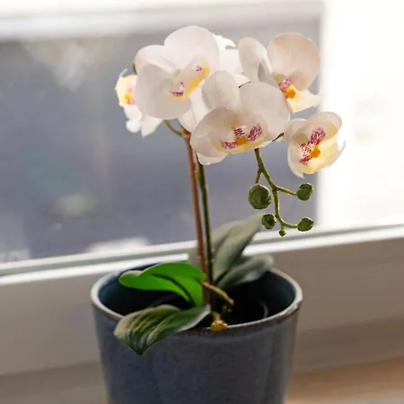 Апартаменти With Private Terrace 250m To Largo Intendente *