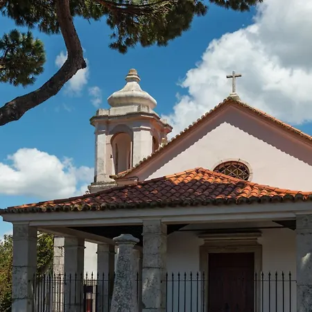 Апартаменти With Private Terrace 250m To Largo Intendente