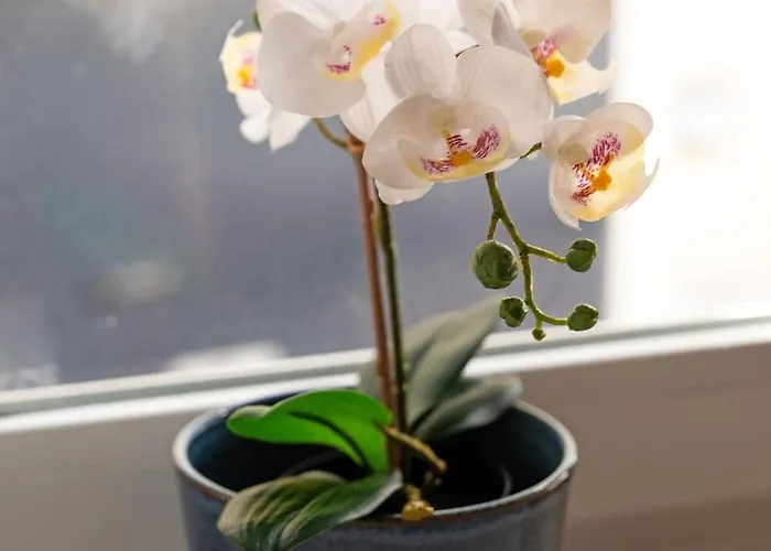 Apartman With Private Terrace 250m To Largo Intendente *